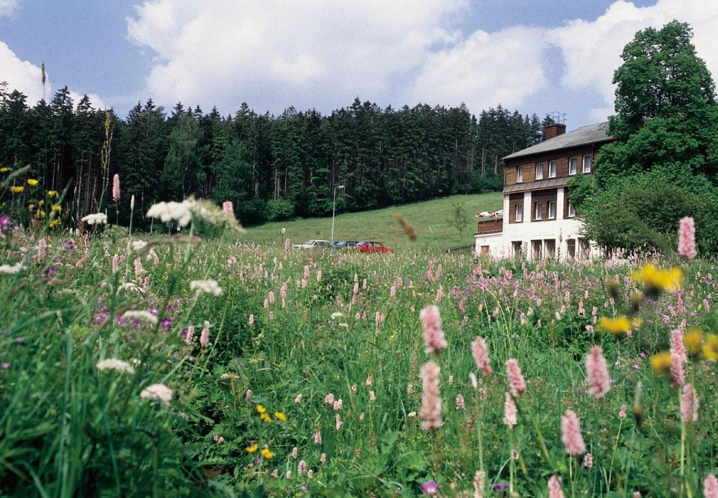 Landhaus Bergidyll Bärenstein 외부 사진