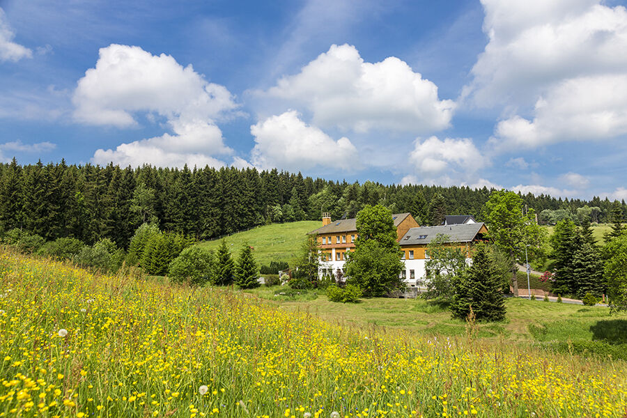 Landhaus Bergidyll Bärenstein 외부 사진