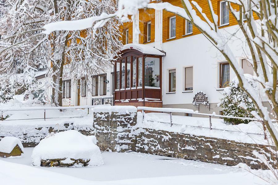 Landhaus Bergidyll Bärenstein 외부 사진